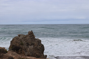 rocks on the beach