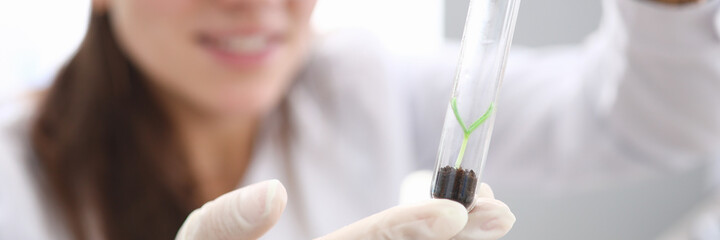 Female hands in white gloves hold test tube with earth and scion inside. Breeding and research of new plant species. Growing seed in laboratory. Environmental protection concept.