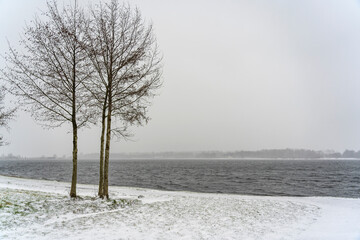 Wall Mural - The drifting snow covers the surroundings of lake Zoetermeerse Plas in Zoetermeer