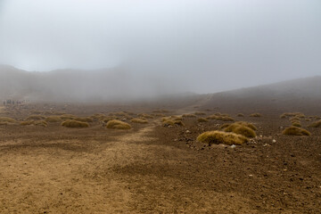 Canvas Print - Lande volcanique sous la brume, parc de Tongariro, Nouvelle Zélande