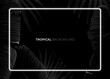 Dark monochrome tropical design with exotic banana leaves, soft neon frames and space for text. Vector summer template for poster, banner, card or flyer.