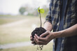 © Puwasit Inyavileart - Young man was holding a seedling to prepare to plant a tree, Preserving or loving the environment or maintaining the soil, Planting trees to add oxygen to the air, Save world save life concept.