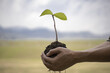 © Puwasit Inyavileart - Young man was holding a seedling to prepare to plant a tree, Preserving or loving the environment or maintaining the soil, Planting trees to add oxygen to the air, Save world save life concept.