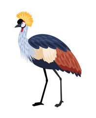 Wall Mural - Bird with long legs. Cartoon colored exotic character of nature with beak and feathers, vector illustration of crested crane isolated on white background