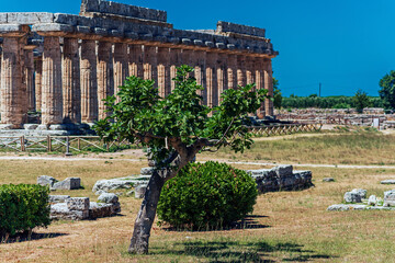 TEMPIO PAESTUM