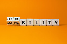 Flexibility And Adaptability Symbol. Turned Wooden Cubes And Changed Words 'adaptability' To 'flexibility'. Beautiful Orange Background, Copy Space. Business, Flexibility And Adaptability Concept.