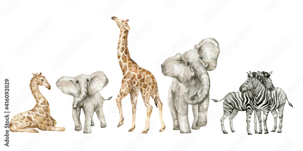 Watercolor set with wild savannah animals. Giraffe, elephants, zebra. Cute safari wildlife animal - obrazy, fototapety, plakaty 