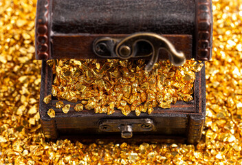 Pieces of Gold in a Treasure Chest on a White Background