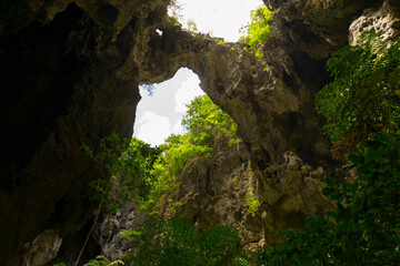 Wall Mural - The light shining through trees from top to bottom inside the cave of Phraya Nakhon Cave at Prachuap Khiri Khan, Thailand.