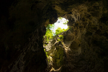 Wall Mural - The light shining through trees from top to bottom inside the cave of Phraya Nakhon Cave at Prachuap Khiri Khan, Thailand.