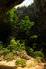 Wall Mural - The light shining through trees from top to bottom inside the cave of Phraya Nakhon Cave at Prachuap Khiri Khan, Thailand.