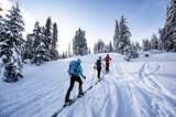 Mountaineer backcountry ski waling in the mountains. Ski touring in high alpine landscape with snowy trees. Adventure winter extreme sport.