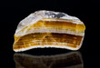 Cut polished aragonite gemstone with reflection on black background. Close-up of beautiful yellow, brown and white striped cross-section of mineral from Hridelec near Nova Paka in Czechia. Mineralogy.