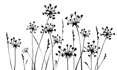 Wall Mural - Herbal background with grass and flowers silhouettes. Spring or summer background.
