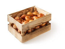 Side View Of Wooden Crate With Raw Yellow Onions Isolated On White Background. Fresh Onion In A Wood Box. Eco-friendly Rustic Style Containers For Vegetables And Fruits. Vegetarian And Healthy Eating.
