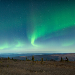aurora borealis and northern lights, night sky, starry night sky, travel and nature landscape backgr