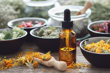 Dropper Bottle Of Infusion Or Oil, Bowls Of Dry Medicinal Herbs. Alternative Medicine.