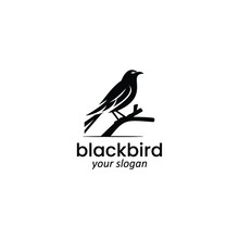 Blackbird Logo Vector