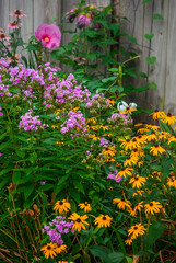 Wall Mural - Summer garden flowers