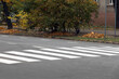 © New Africa - Pedestrian crossing on empty city street in autumn