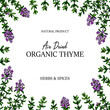 © Kseniia - Hand drawn thyme frame. Vector illustration isolated on white. Botanical herbal plant in vintage colored sketch style. Thymus vulgaris.