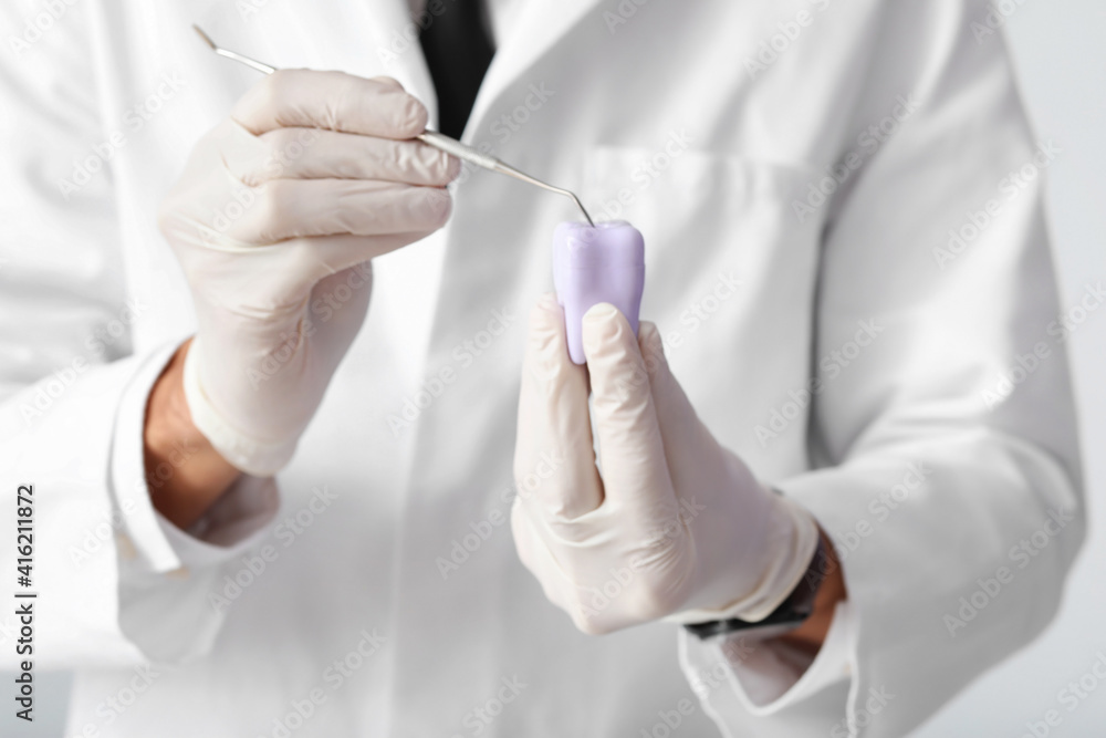 Male dentist with plastic tooth, closeup