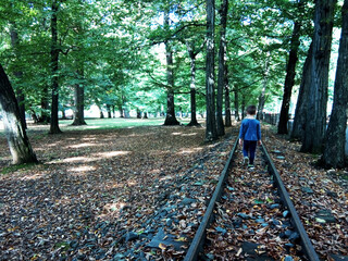 Wall Mural - a child is walking on the railway