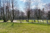 Fototapeta Tęcza - ćwiczenia w parku na przedwiośniu, drzewa bez liści a trawa soczyście zielona, wrotkarka jedzie ścieżką parkową