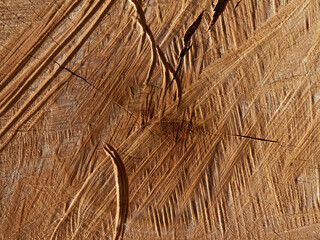 Wall Mural - Tree rings old weathered wood texture with the cross section of a cut log.