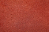 Fototapeta Zwierzęta - Brown fine grain leather texture background