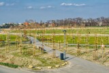 Fototapeta Fototapety do pokoju - wiosenny widok nowo założonego parku miejskiego w Opolu, młode sadzone drzewa i zielone trawniki, ścieżki spacerowe w parku