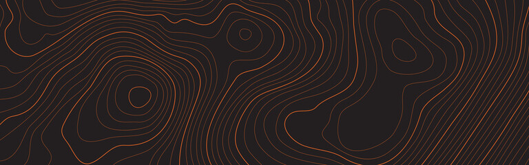 Wall Mural - the stylized height of the topographic contour in lines and contours. the concept of a conditional g