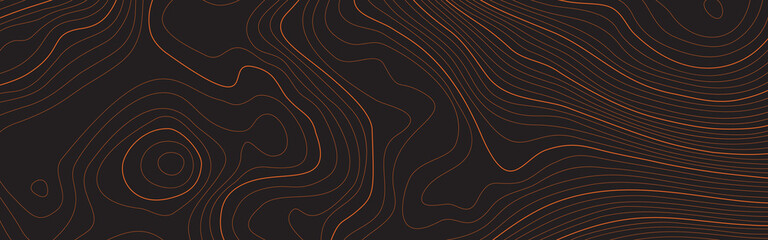 Wall Mural - the stylized height of the topographic contour in lines and contours. the concept of a conditional g