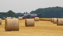 Freshly Harvested And Rolled Hay Bales Provide A Beautiful Counrty Landscape In Rural Ohio.