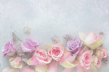 Fotomurales - beautiful pink rose flowers through the glass with waterdrops background