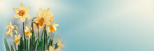 Daffodil Flowers Floral Spring Banner