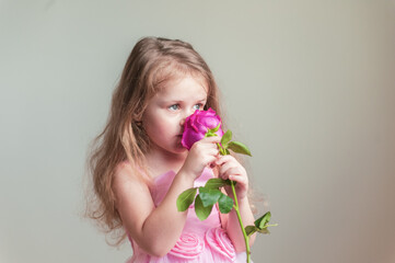 A cute little girl with long hair in a beautiful pink dress holds a red rose flower in her hands and sniffs it