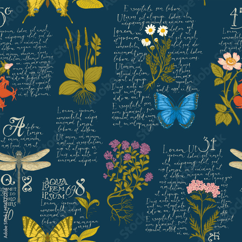 Vector seamless pattern with handwritten text Lorem Ipsum, medicinal herbs and insects. Hand-drawn colored plants, butterflies, dragonflies on a dark blue background. Wallpaper, wrapping paper, fabric © paseven