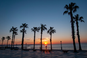 Wall Mural - Palm trees sunset gold blue sky backlight Mediterranean.