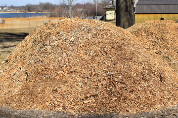 Wall Mural - Pile of Wood Mulch Chips