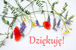 dziekuje- thank you written in polish language and composition of wild field flowers