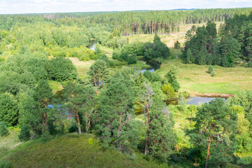 Beautiful summer landscape. The beauty of nature.