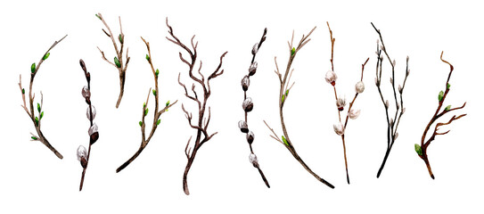 Wall Mural - Spring branches with buds and tiny pussies set,