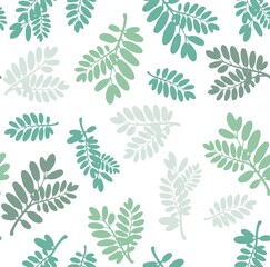 Wall Mural - Sketch botanical illustration. Leaves and plants varied in shape. Can be used for greeting cards, textures, backgrounds, posters.