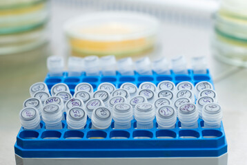 Canvas Print - Close-up, a blue tripod with small test tubes inside, lies on a chrome table among petri dishes.