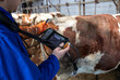 © Budimir Jevtic - Veterinarian checking cow's pregnancy with ultrasound device