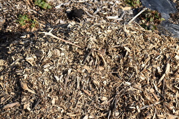 Canvas Print - Wood Mulch Chips