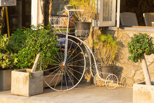 Three White Bicycle, Big Front Wheel, Small Rear Wheel Decorated With Green Plant Pot.