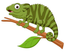 Cartoon Green Chameleon On Tree Branch