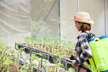 Female farmer spray bio-fertilizer in the nursery.